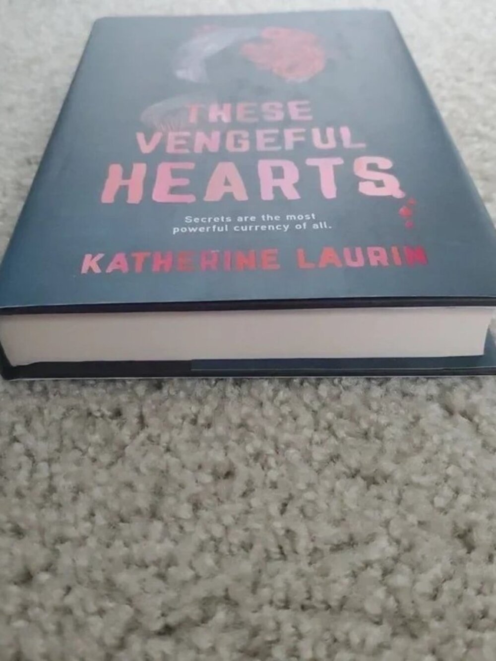 Book: These Vengeful Hearts